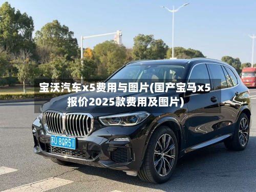 宝沃汽车x5费用与图片(国产宝马x5报价2025款费用及图片)-第3张图片