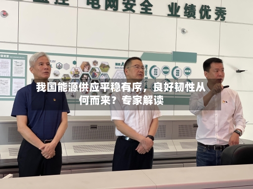 我国能源供应平稳有序，良好韧性从何而来？专家解读