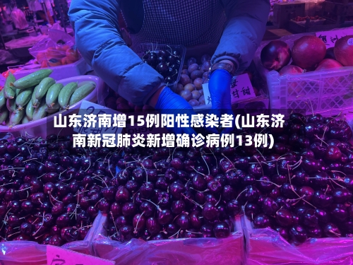 山东济南增15例阳性感染者(山东济南新冠肺炎新增确诊病例13例)-第3张图片