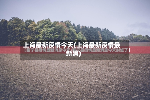 上海最新疫情今天(上海最新疫情最新消)