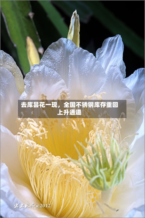去库昙花一现，全国不锈钢库存重回上升通道-第2张图片