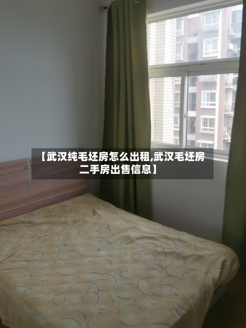 【武汉纯毛坯房怎么出租,武汉毛坯房二手房出售信息】-第3张图片