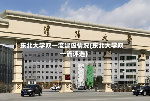 东北大学双一流建设情况(东北大学双一流评选)-第2张图片