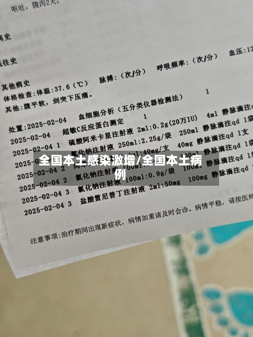 全国本土感染激增/全国本土病例