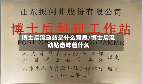 博士后流动站是什么意思/博士后流动站意味着什么